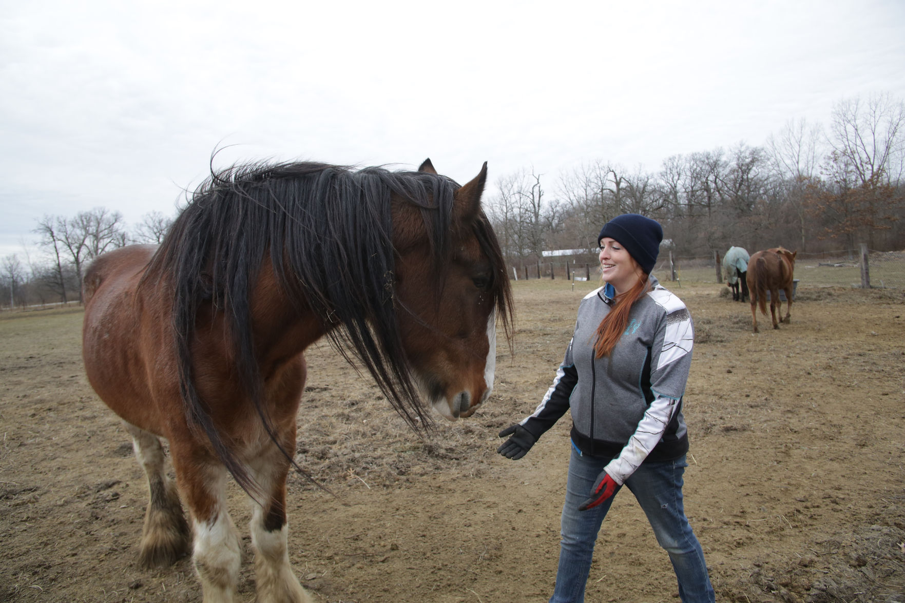 Erin's Farm animal sanctuary